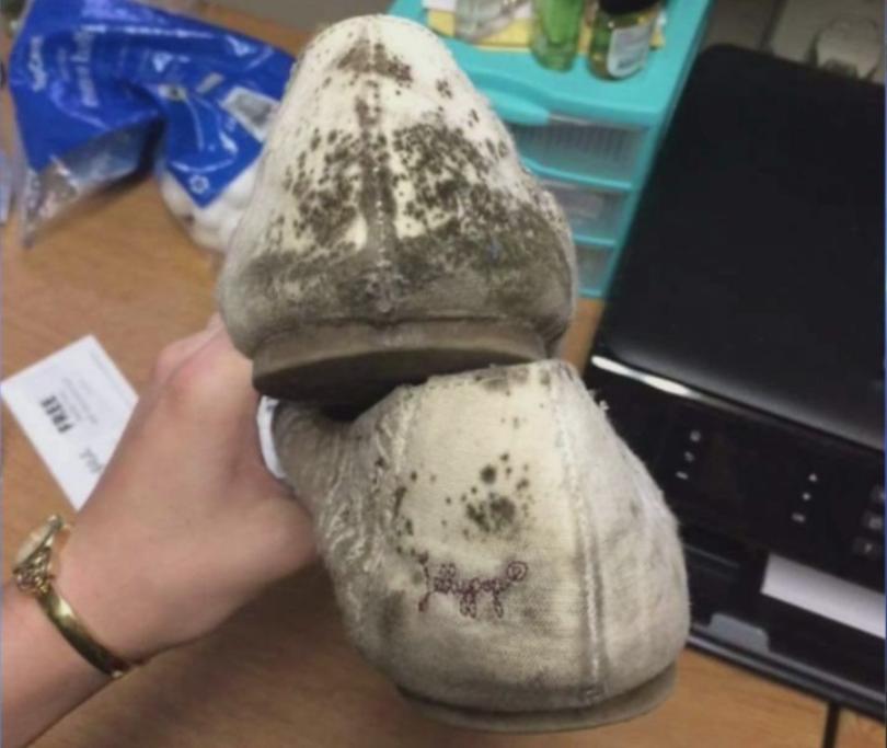 10 Potret kondisi menjijikkan jika kamu malas membersihkan sepatumu