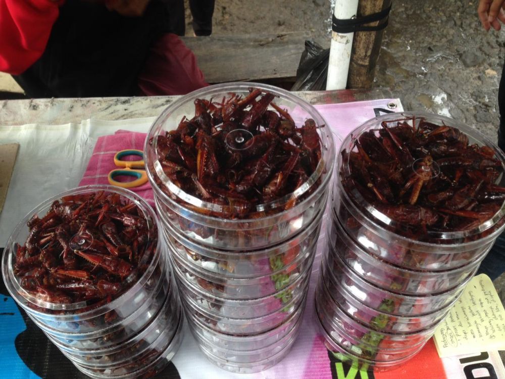 Kisah Sukir, jual belalang goreng hingga Singapura & mampu pergi umrah