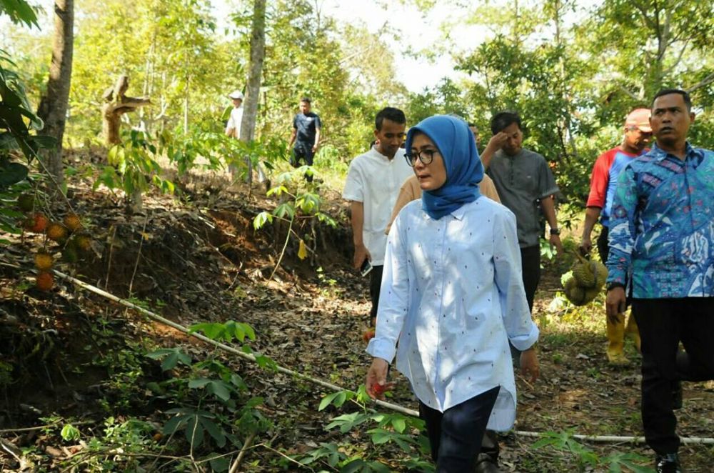 7 Aksi heboh Iti Octavia, bupati Lebak bersemangat panjat pohon durian