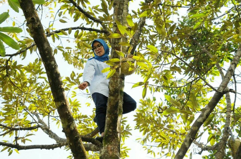7 Aksi heboh Iti Octavia, bupati Lebak bersemangat panjat pohon durian