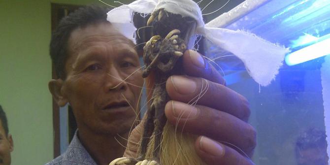 Tak cuma batu bersusun, 3 fenomena aneh ini ternyata bikinan manusia