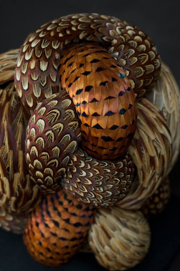 Cuma dari bulu burung, seniman ini ciptakan 10 karya seni memukau mata