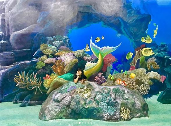 10 Kelucuan Safeea di museum 3 dimensi, seru-seruan sama Ahmad Dhani