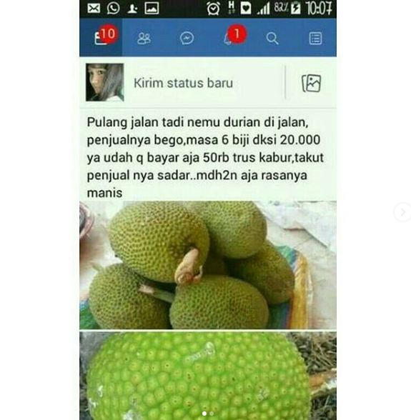 10 Barang tak sesuai harapan ini konyol abis, ngakak jungkir balik