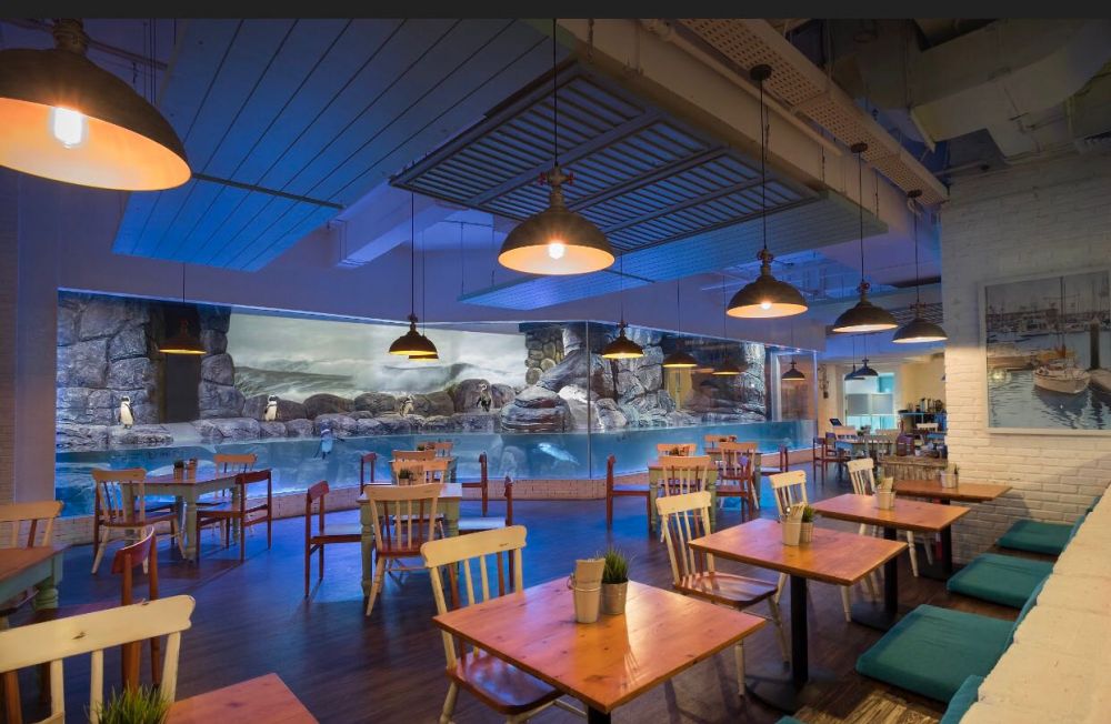 Restoran ini sajikan 3 pengalaman unik, ditemani penguin saat makan