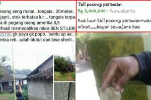 10 Barang absurd ini ternyata dijual online, ada tongsis 20 meter