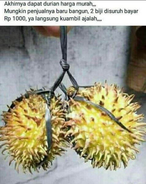 10 Barang absurd ini ternyata dijual online, ada tongsis 20 meter