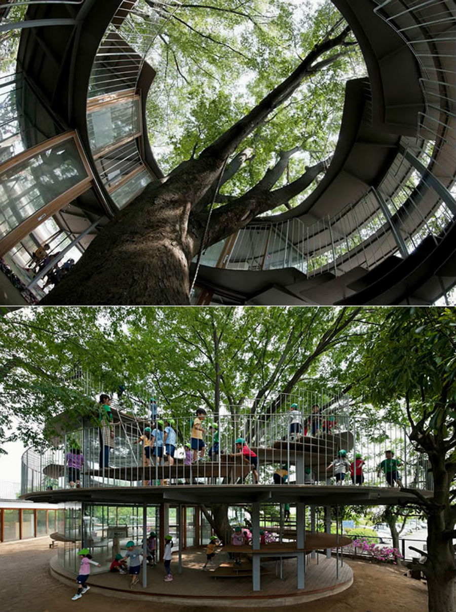 10 Bangunan keren ini dibangun di pohon, dari TK hingga restoran