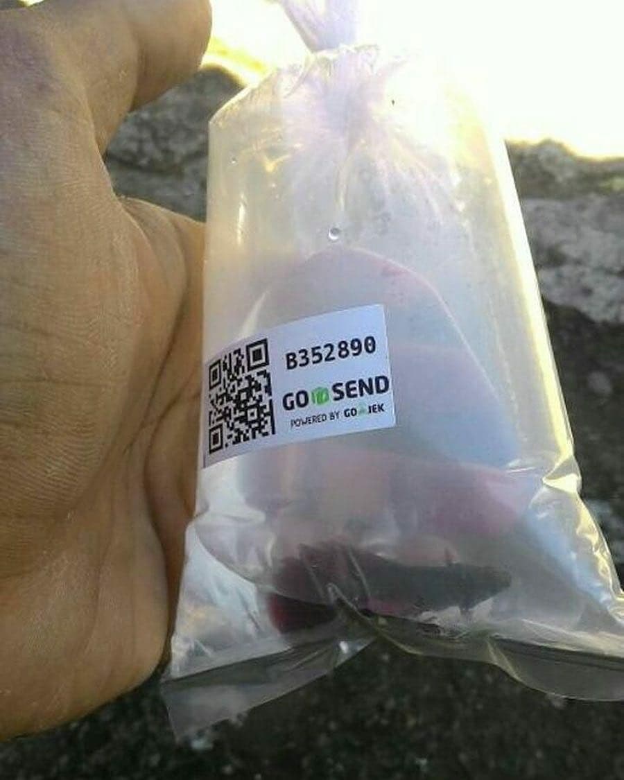 11 Barang yang dikirim pakai jasa ojek online ini bikin tepuk jidat
