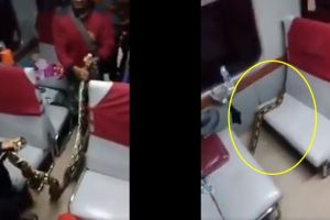 Viral, video ular sanca melata di kursi kereta api Kertajaya
