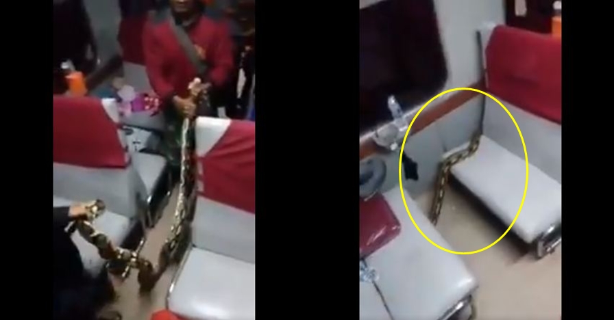 Viral, video ular sanca melata di kursi kereta api Kertajaya