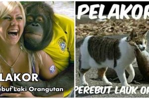 10 Meme 'pelakor' ini bikin ngakak sekaligus ikutan gemes