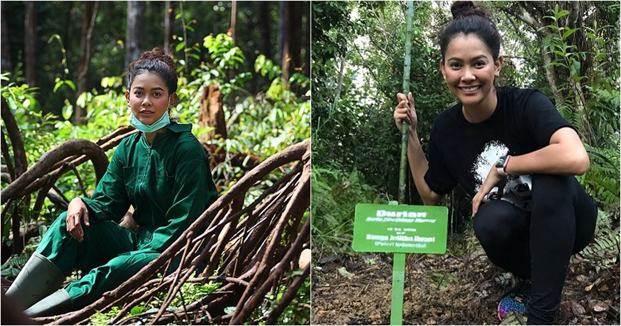 10 Aksi Bunga Jelitha saat melakukan misi penyelamatan orangutan
