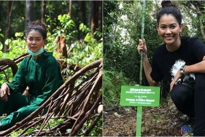 10 Aksi Bunga Jelitha saat melakukan misi penyelamatan orangutan