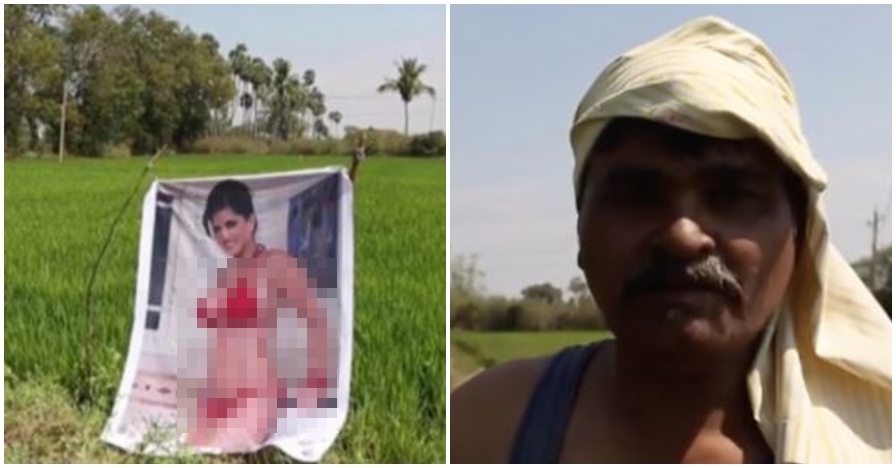 Pasang poster aktris porno, hasil panen petani ini tak disangka