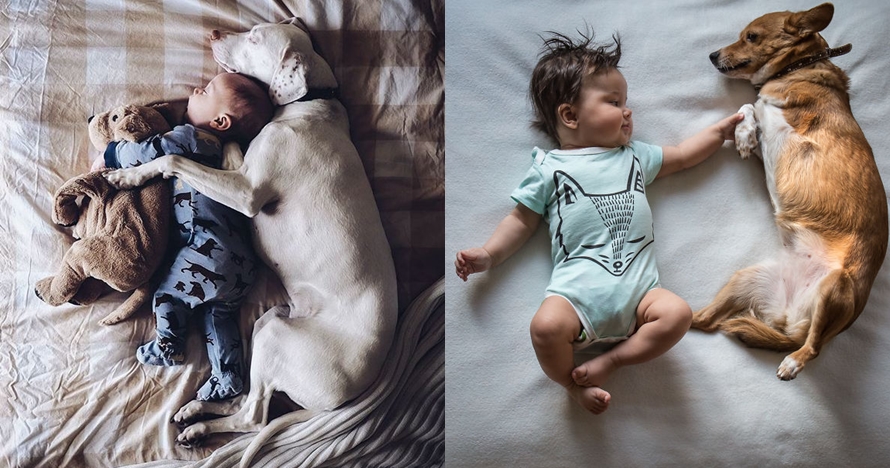 15 Momen kebersamaan anak dan hewan peliharaan ini sweet abis