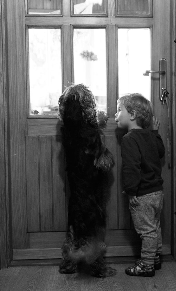 15 Momen kebersamaan anak dan hewan peliharaan ini sweet abis