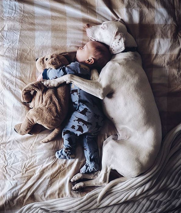 15 Momen kebersamaan anak dan hewan peliharaan ini sweet abis