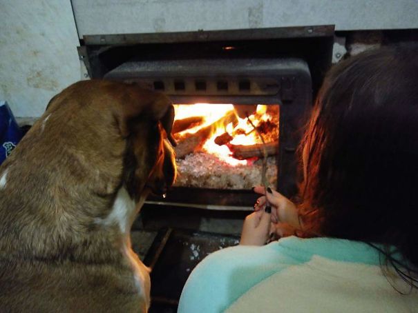 15 Momen kebersamaan anak dan hewan peliharaan ini sweet abis