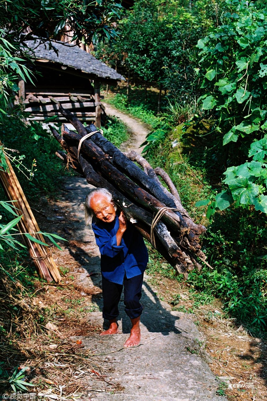 Berusia satu abad, nenek ini kuat gendong kayu naik-turun bukit