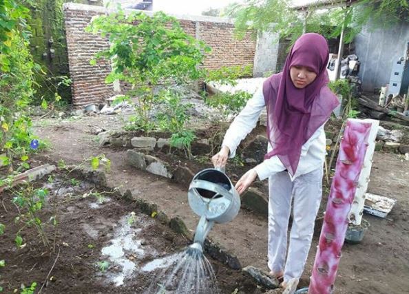 Jogja Berkebun, aksi nyata anak muda peduli alam & kemandirian pangan