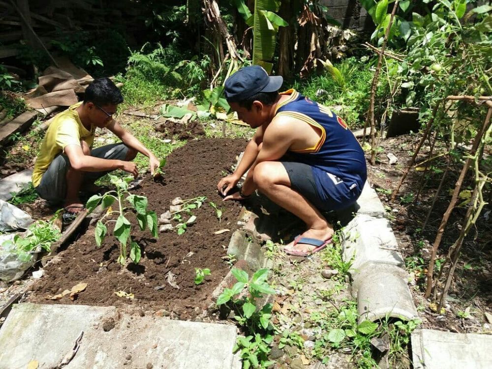Jogja Berkebun, aksi nyata anak muda peduli alam & kemandirian pangan