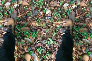 Coba kamu temukan ular di dekat kaki pria ini, banyak yang nyerah lho