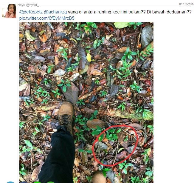 Coba kamu temukan ular di dekat kaki pria ini, banyak yang nyerah lho