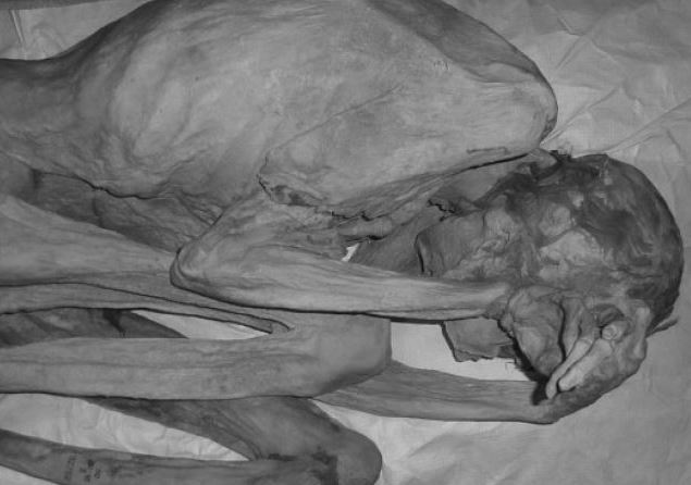 Tato tertua di dunia ditemukan pada mumi, ini ternyata bentuknya