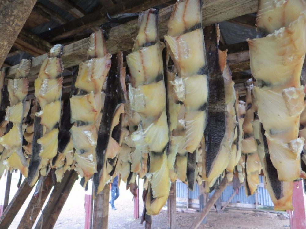 6 Kuliner berbau tak sedap ini jadi favorit dunia, ada dari Indonesia