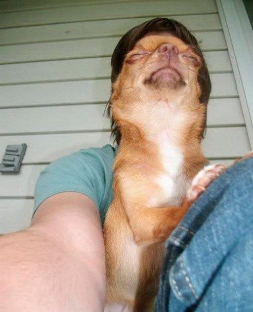 10 Foto selfie ini bikin kamu mikir dua kali, ilusinya kreatif abis