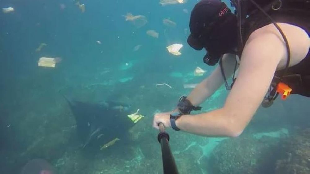 Bukannya indah, 5 potret bawah laut Indonesia ini justru penuh sampah