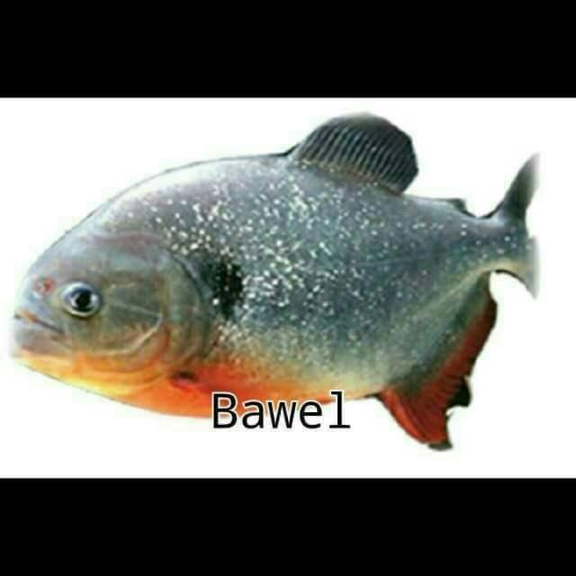 Receh parah, 28 pelesetan gambar ini bikin kamu mules nahan tawa