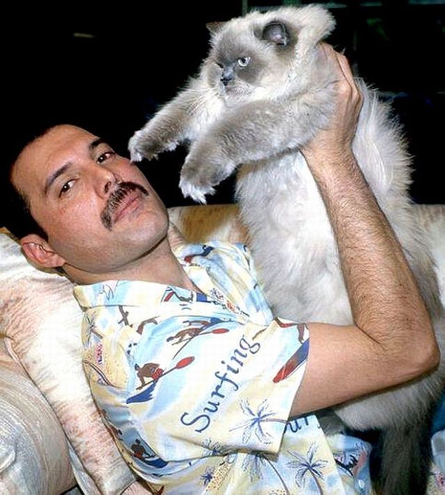 28+ Eric Clapton Muda Pictures