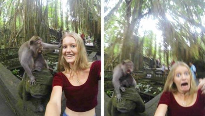 10 Momen apes tertangkap kamera ini bikin kebayang rasa sakitnya