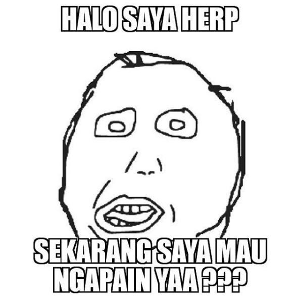10 Meme 'Herp absurd' ini bikin ngakak seharian