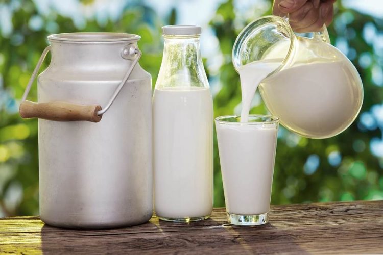 Ini beda kental manis, susu segar, susu UHT dan susu pasteurisasi