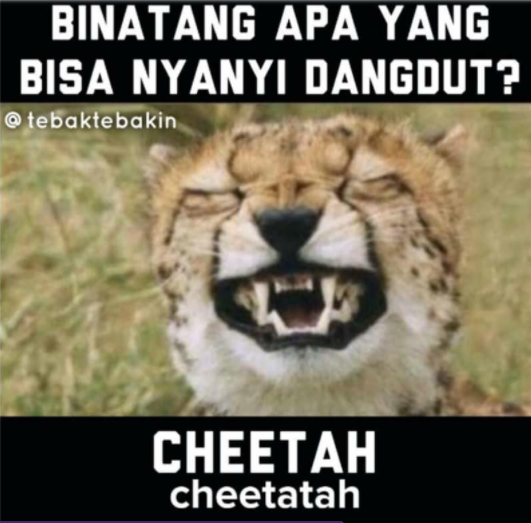 47 Tebak-tebakan receh ini sukses bikin harimu riang gembira