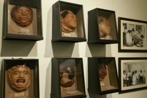 Koleksi ratusan mayat, 7 potret museum ini bikin pengunjung merinding