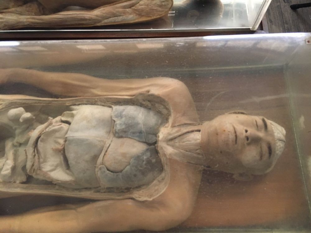 Koleksi ratusan mayat, 7 potret museum ini bikin pengunjung merinding