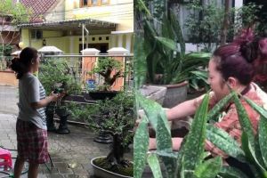 Tak kenal waktu, begini 5 gaya sederhana Soimah saat urusi tanaman