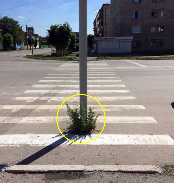 8 Momen absurd 'maksain keadaan' ini gokil tapi berisiko banget, duh!