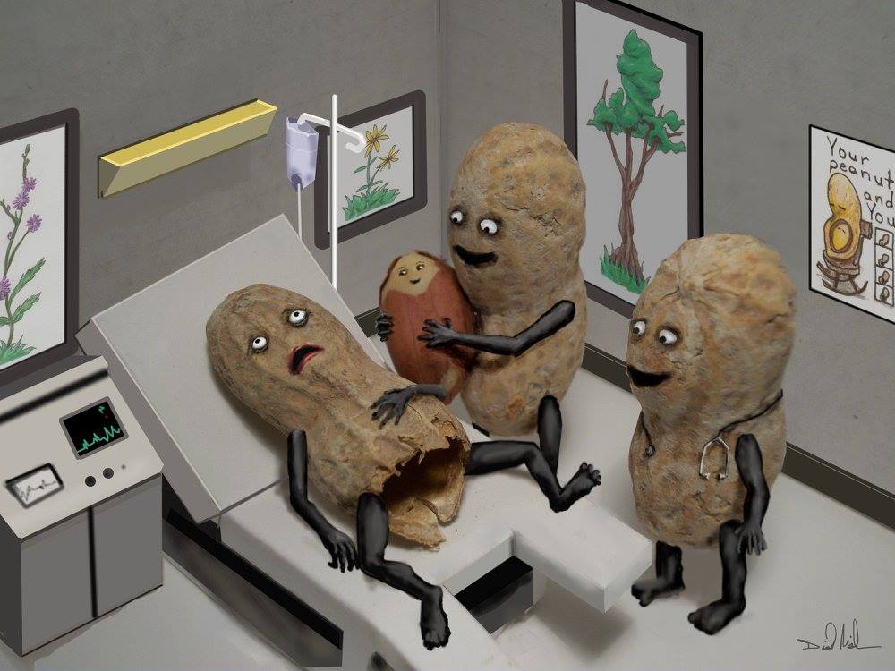10 Potret realita hidup manusia ini dibuat dari kacang, ngegemesin!