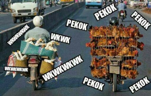 13 Meme pelesetan kata receh banget ini konyolnya ampun dah