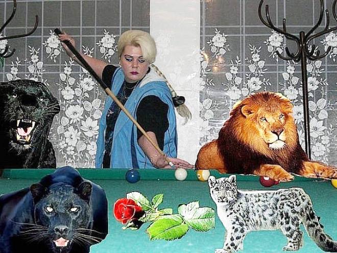 10 Editan foto bareng hewan buas ini bikin ngakak dan gagal paham