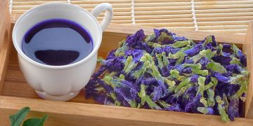 Sensasi teh biru bunga telang yang bikin badan bugar