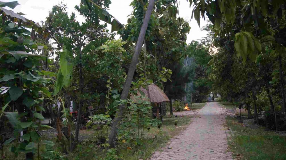 Kwangenrejo, kampung toleransi agama di tepian hutan jati Bojonegoro