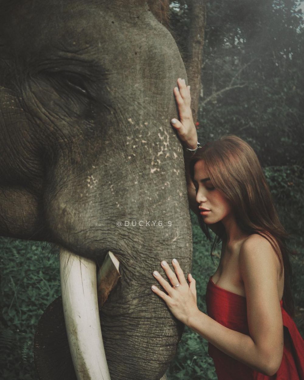 5 Potret Jessica Iskandar berpose dengan gajah, tetep sensual