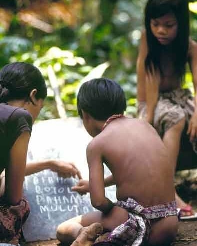 10 Potret semangat orang rimba meraih pendidikan ini bikin terharu
