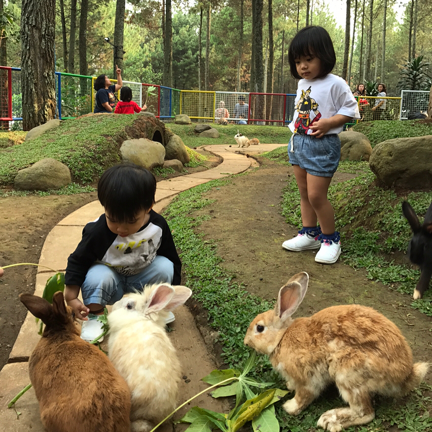 10 Aksi menggemaskan Cleo & Judeo, buah hati Judika & Duma Riris